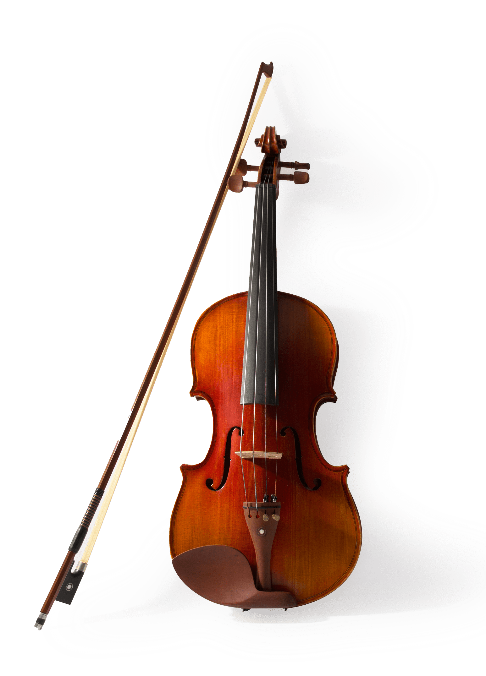 violin